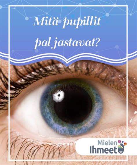 Mydriaasi: Pupillien laajentumisen ymmärtäminen